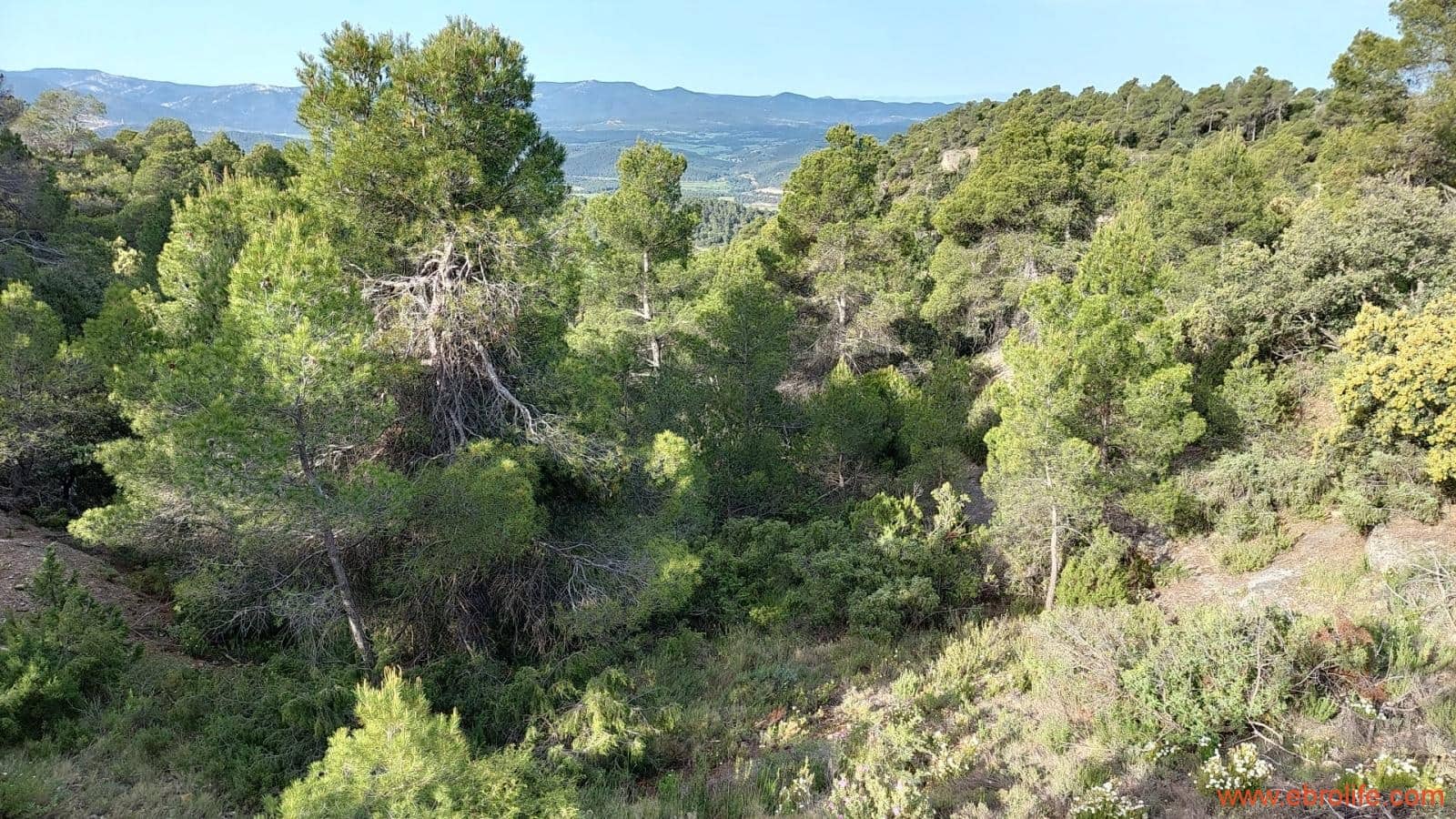 1 slaapkamer Finca/Landhuis te koop in Fuentespalda - € 149.000 (Ref: 6912575)