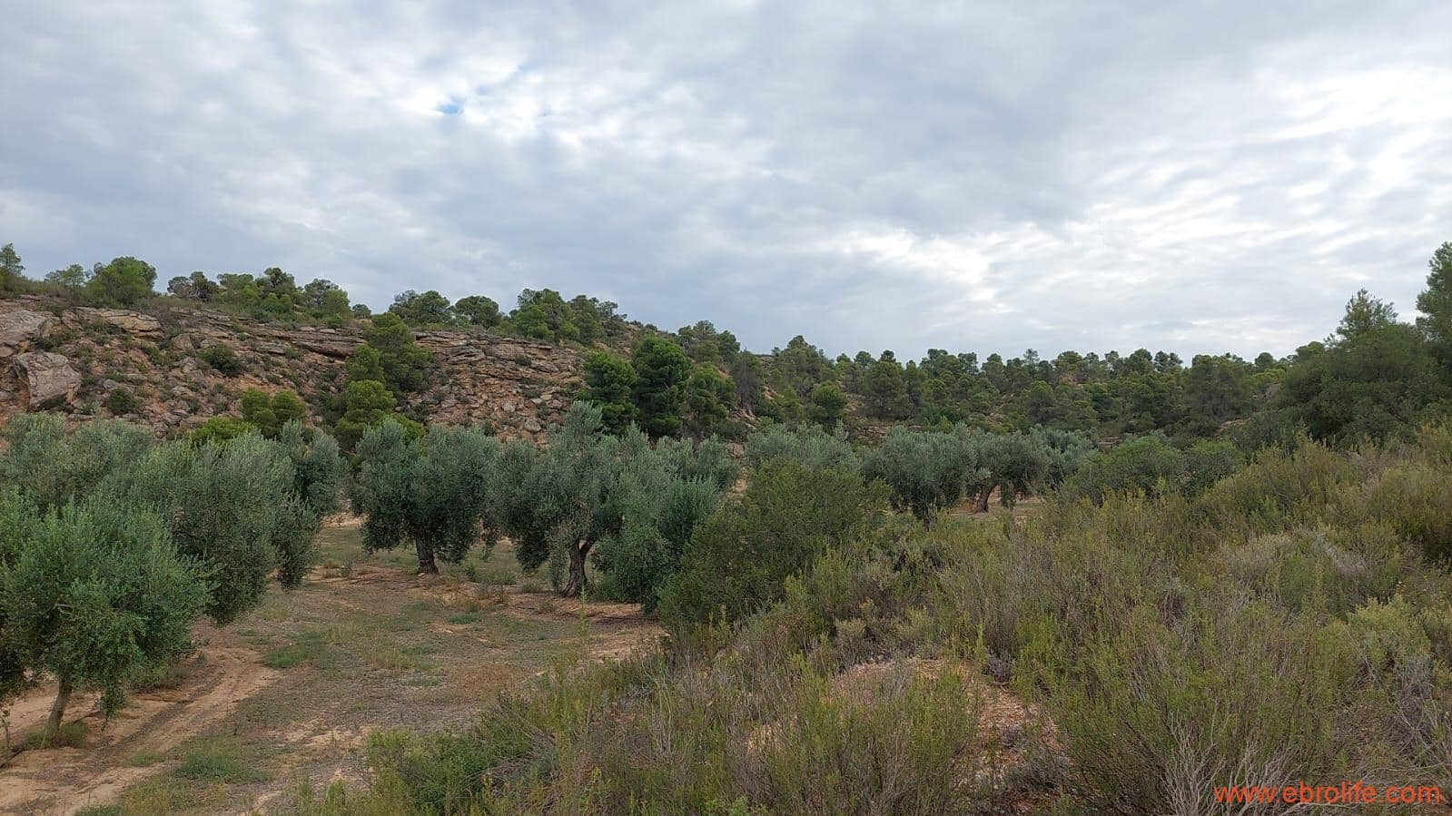 1 soveværelse Finca/Landehus til salg i Caspe - € 60.000 (Ref: 7000395)