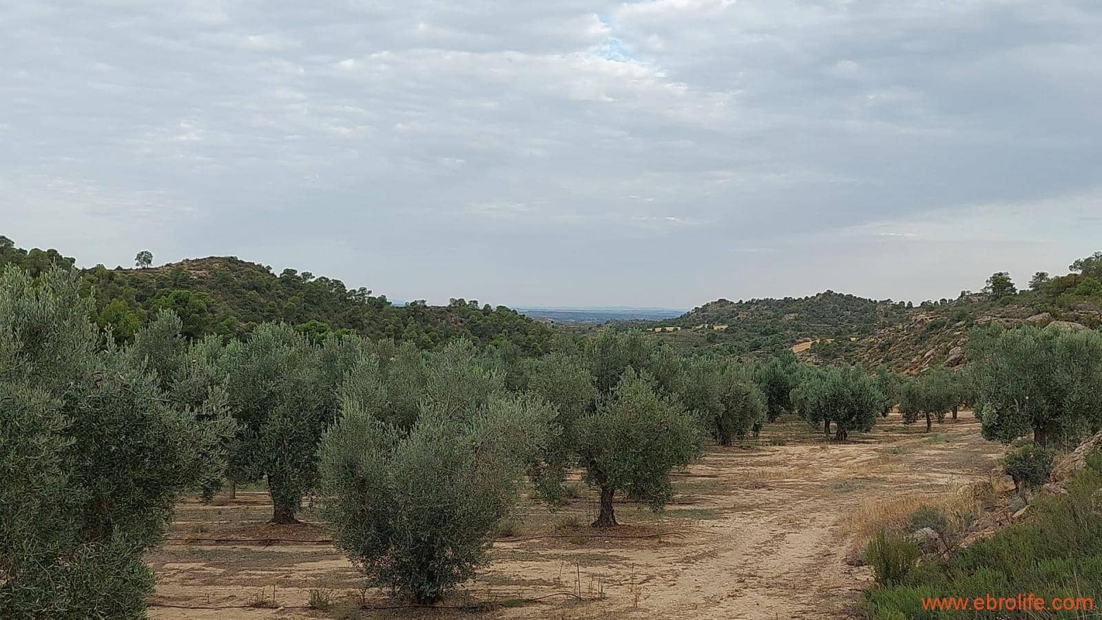 1 soveværelse Finca/Landehus til salg i Caspe - € 60.000 (Ref: 7000395)