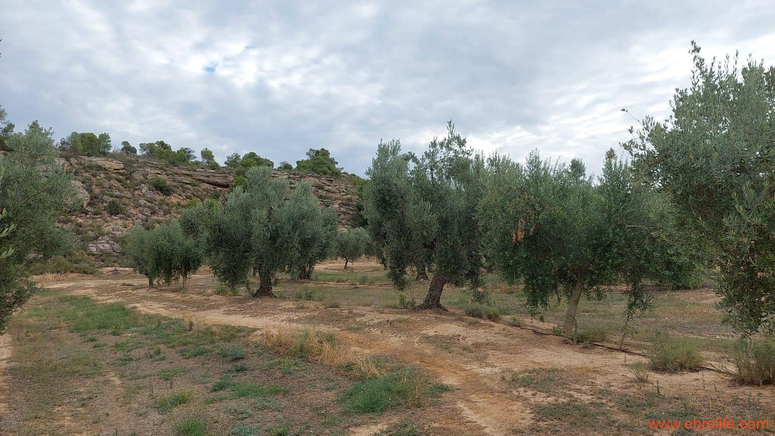 1 soveværelse Finca/Landehus til salg i Caspe - € 60.000 (Ref: 7000395)