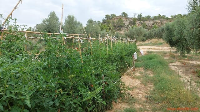 1 soveværelse Finca/Landehus til salg i Caspe - € 60.000 (Ref: 7000395)