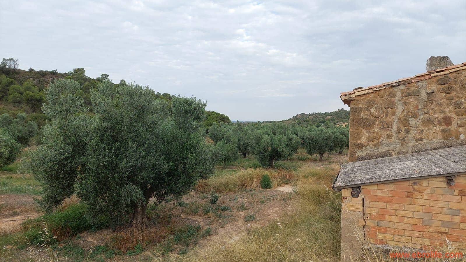 1 soveværelse Finca/Landehus til salg i Caspe - € 60.000 (Ref: 7000395)