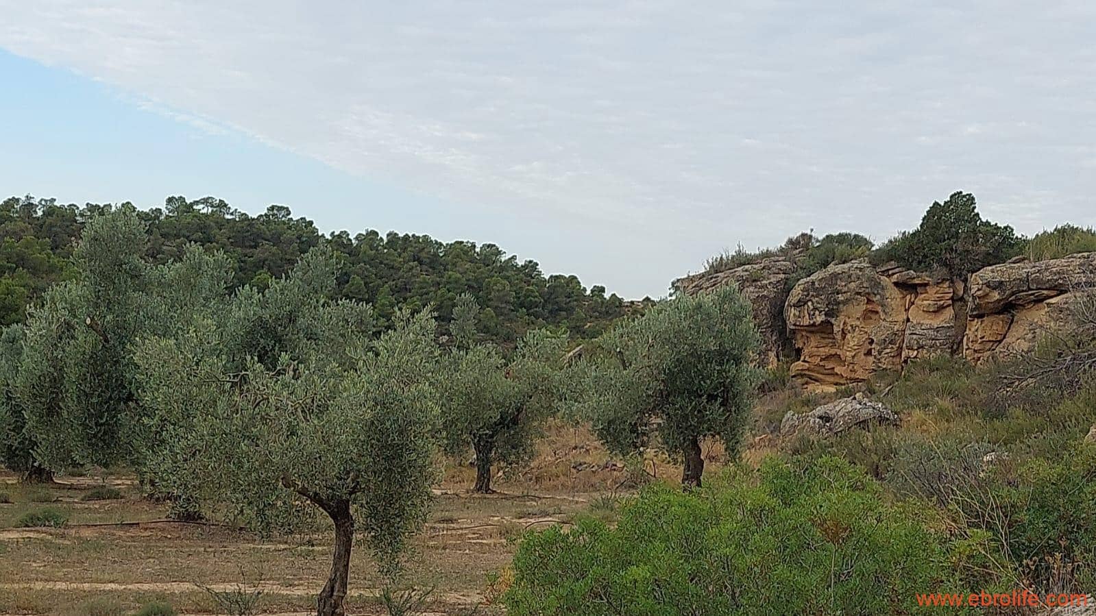 1 soveværelse Finca/Landehus til salg i Caspe - € 60.000 (Ref: 7000395)