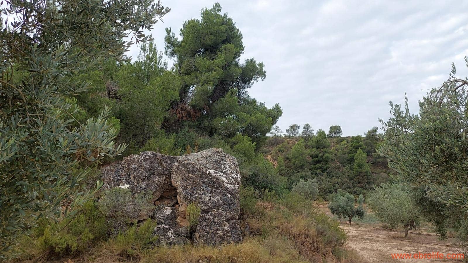 1 soveværelse Finca/Landehus til salg i Caspe - € 60.000 (Ref: 7000395)