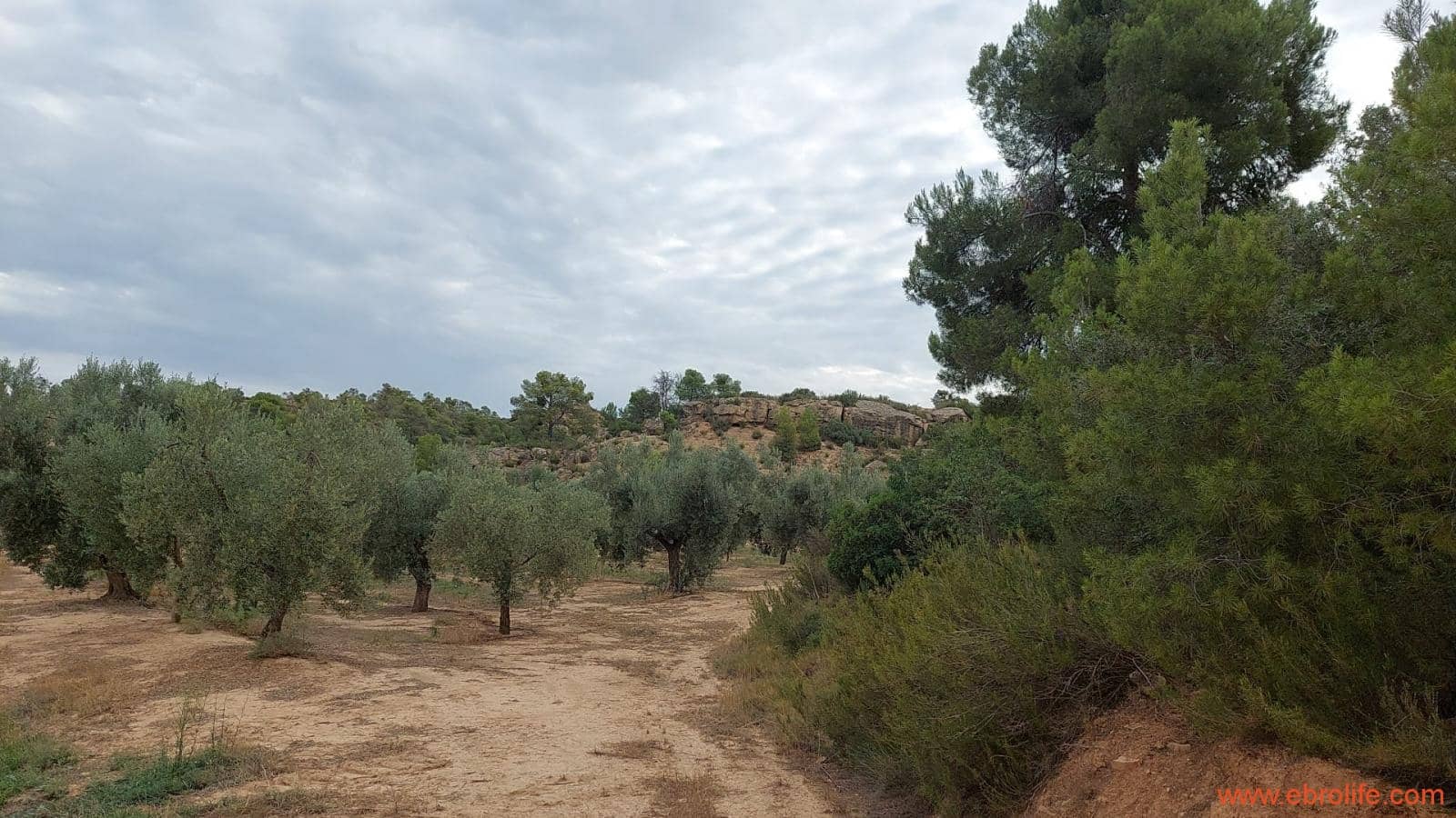 1 soveværelse Finca/Landehus til salg i Caspe - € 60.000 (Ref: 7000395)