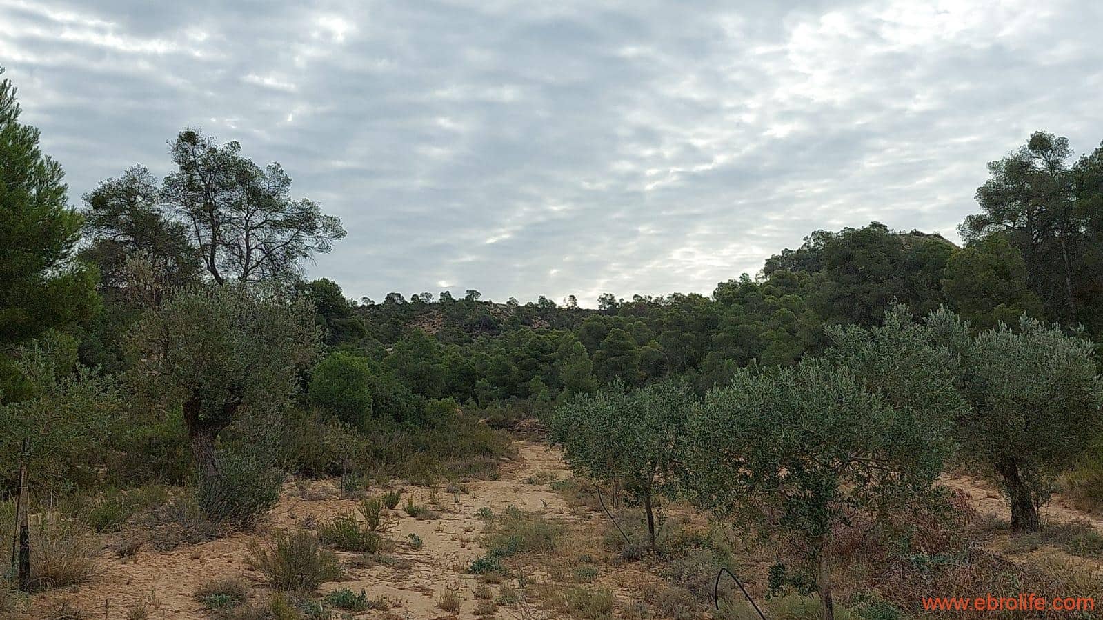 1 soveværelse Finca/Landehus til salg i Caspe - € 60.000 (Ref: 7000395)