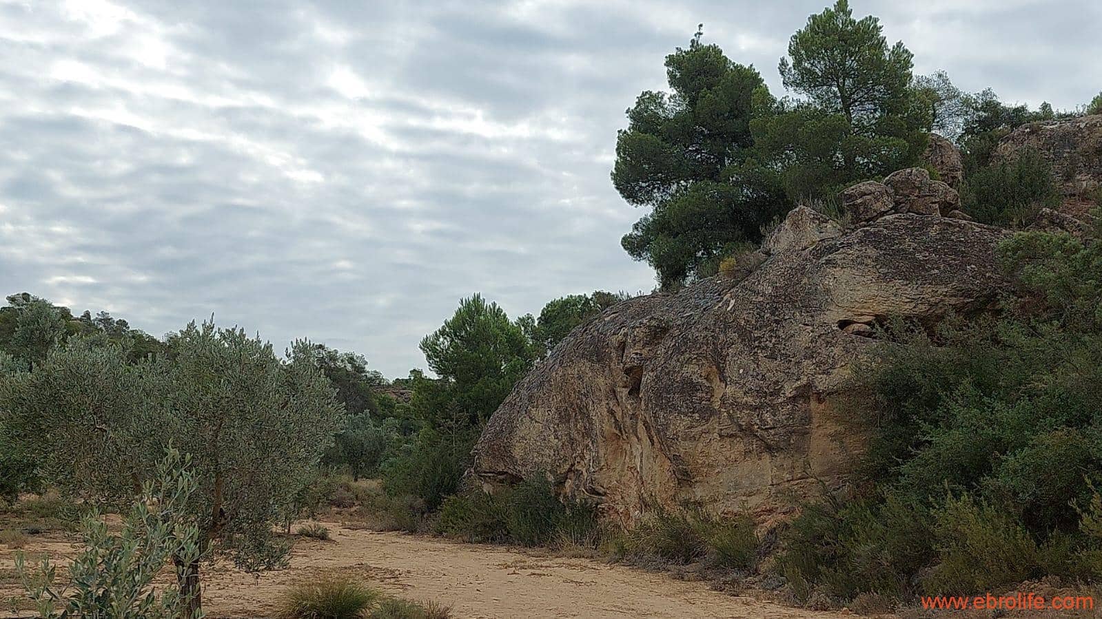 1 soveværelse Finca/Landehus til salg i Caspe - € 60.000 (Ref: 7000395)