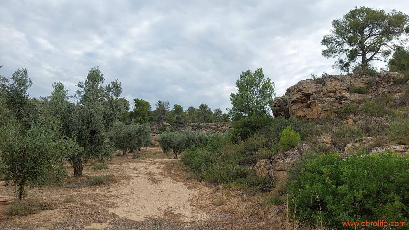 1 soveværelse Finca/Landehus til salg i Caspe - € 60.000 (Ref: 7000395)