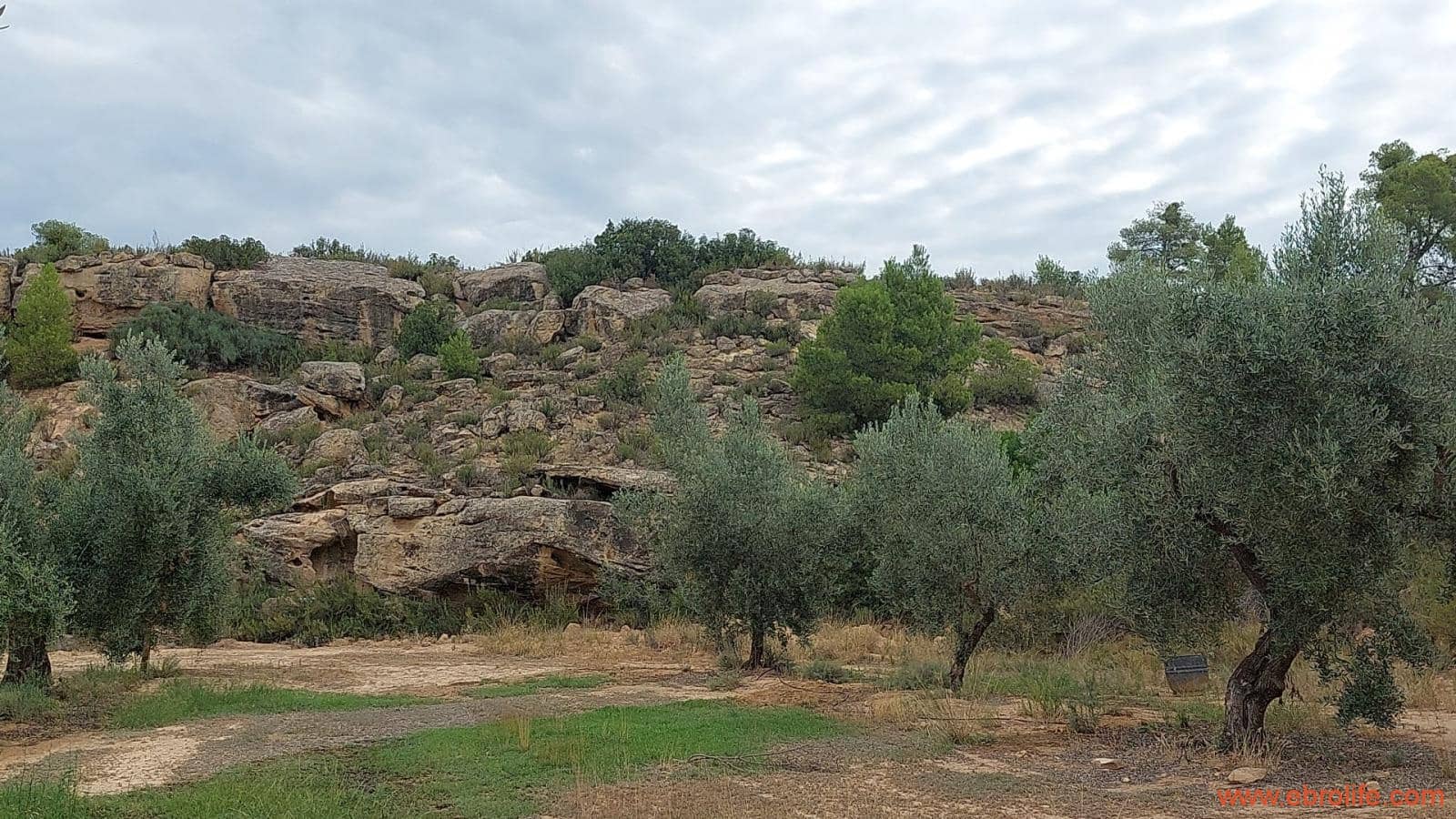 1 soveværelse Finca/Landehus til salg i Caspe - € 60.000 (Ref: 7000395)