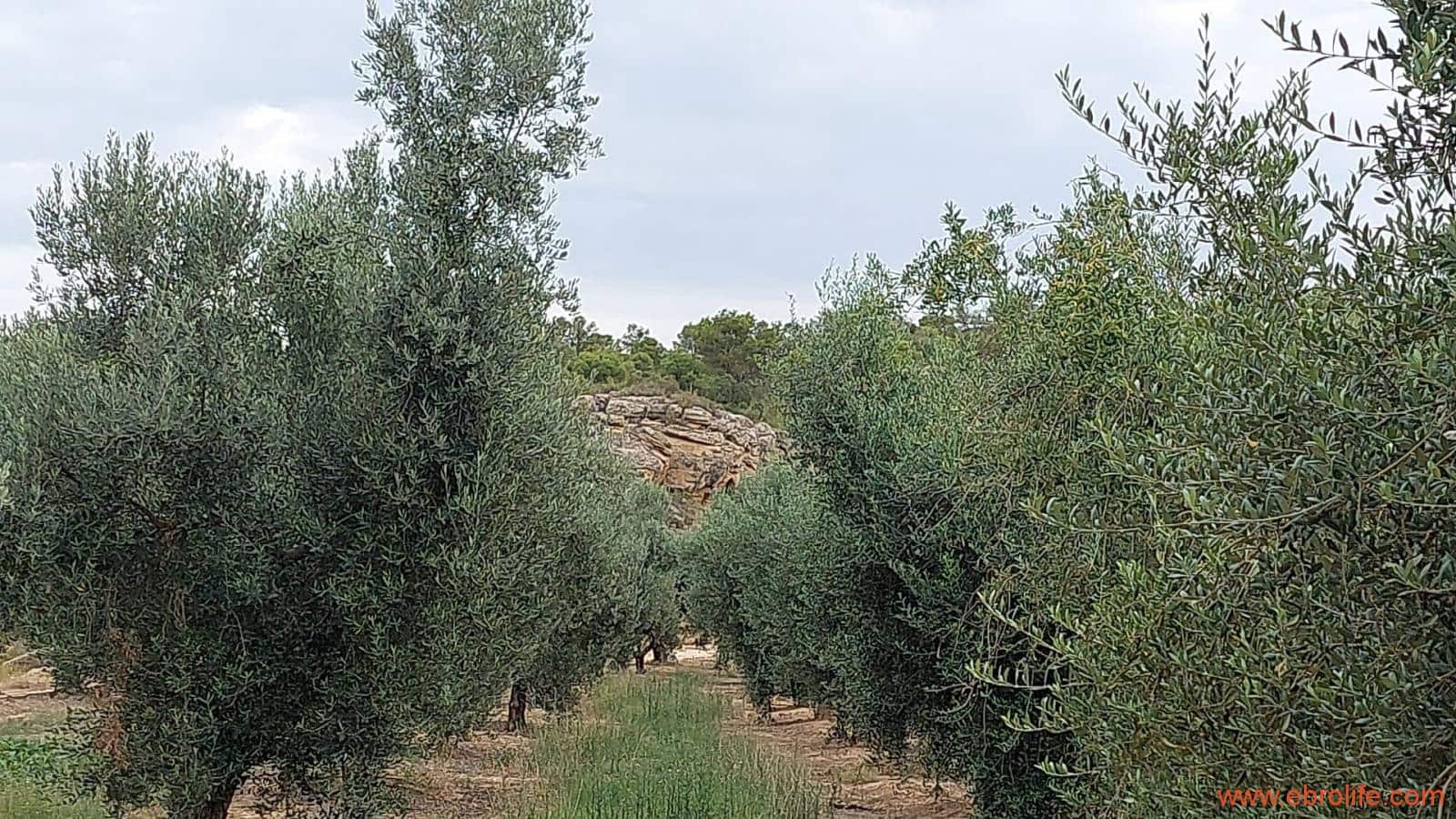 1 soveværelse Finca/Landehus til salg i Caspe - € 60.000 (Ref: 7000395)