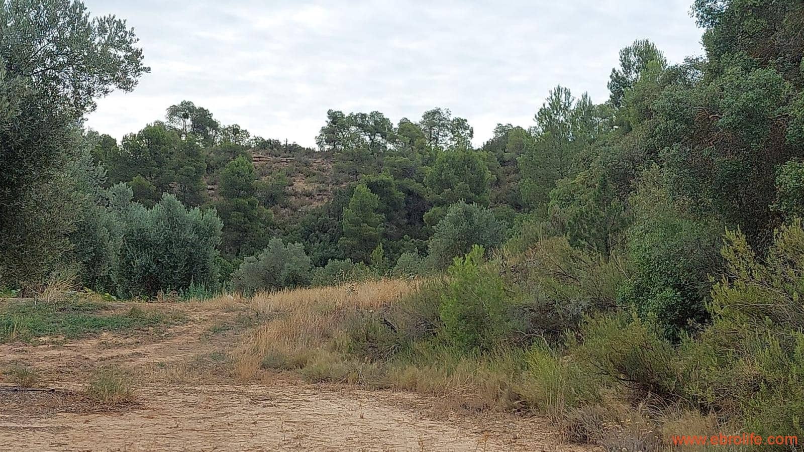 1 soveværelse Finca/Landehus til salg i Caspe - € 60.000 (Ref: 7000395)