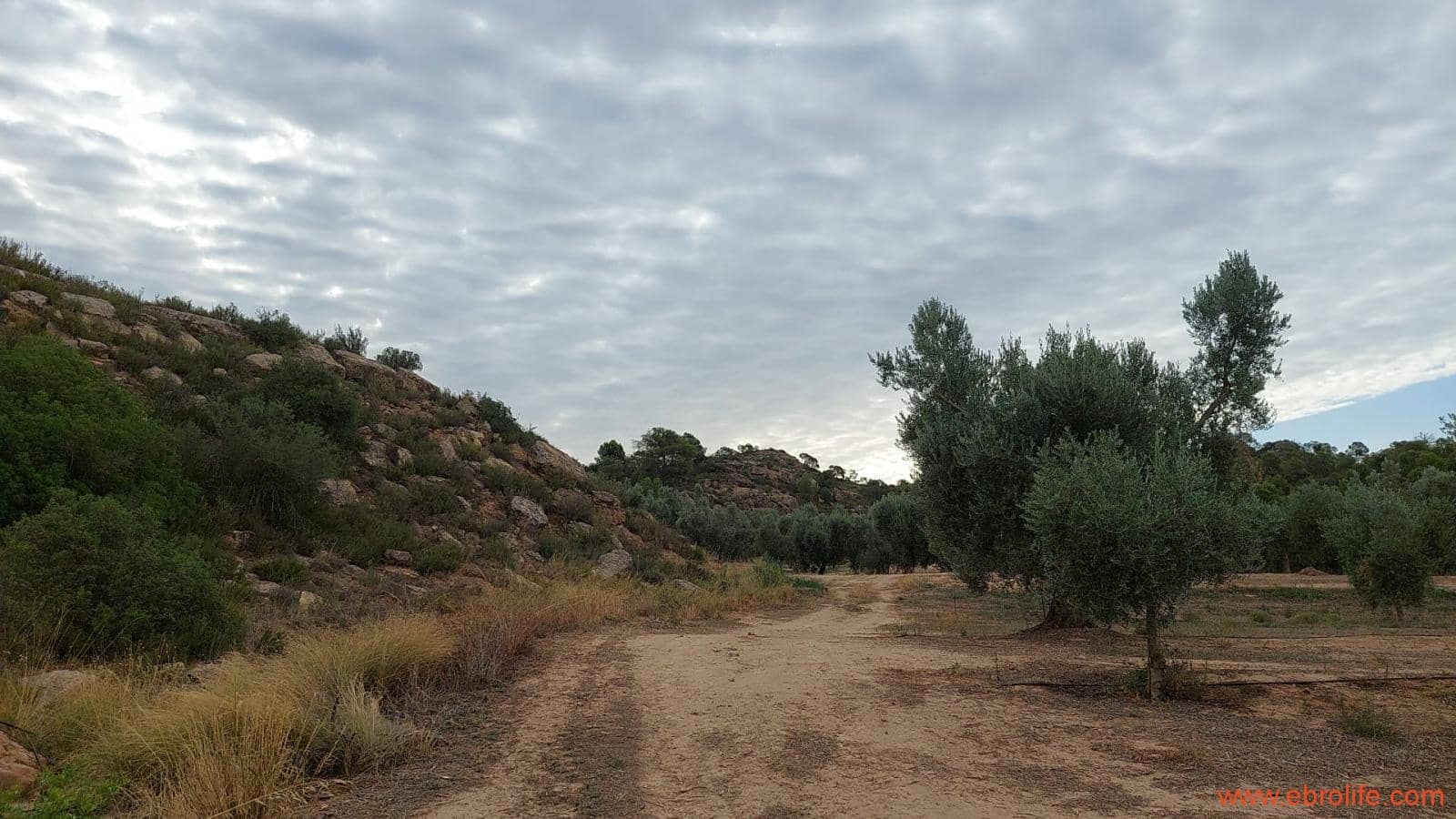 1 soveværelse Finca/Landehus til salg i Caspe - € 60.000 (Ref: 7000395)