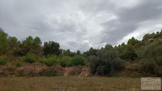 1 sovrum Finca/Hus på landet till salu i Calaceite - 42 000 € (Ref: 7089394)