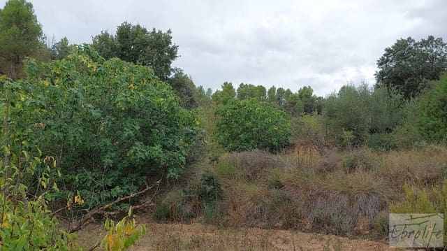 1 sovrum Finca/Hus på landet till salu i Calaceite - 42 000 € (Ref: 7089394)