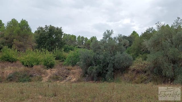 1 sovrum Finca/Hus på landet till salu i Calaceite - 42 000 € (Ref: 7089394)