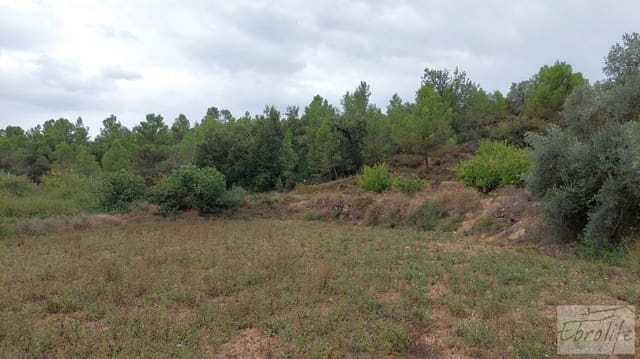 1 sovrum Finca/Hus på landet till salu i Calaceite - 42 000 € (Ref: 7089394)