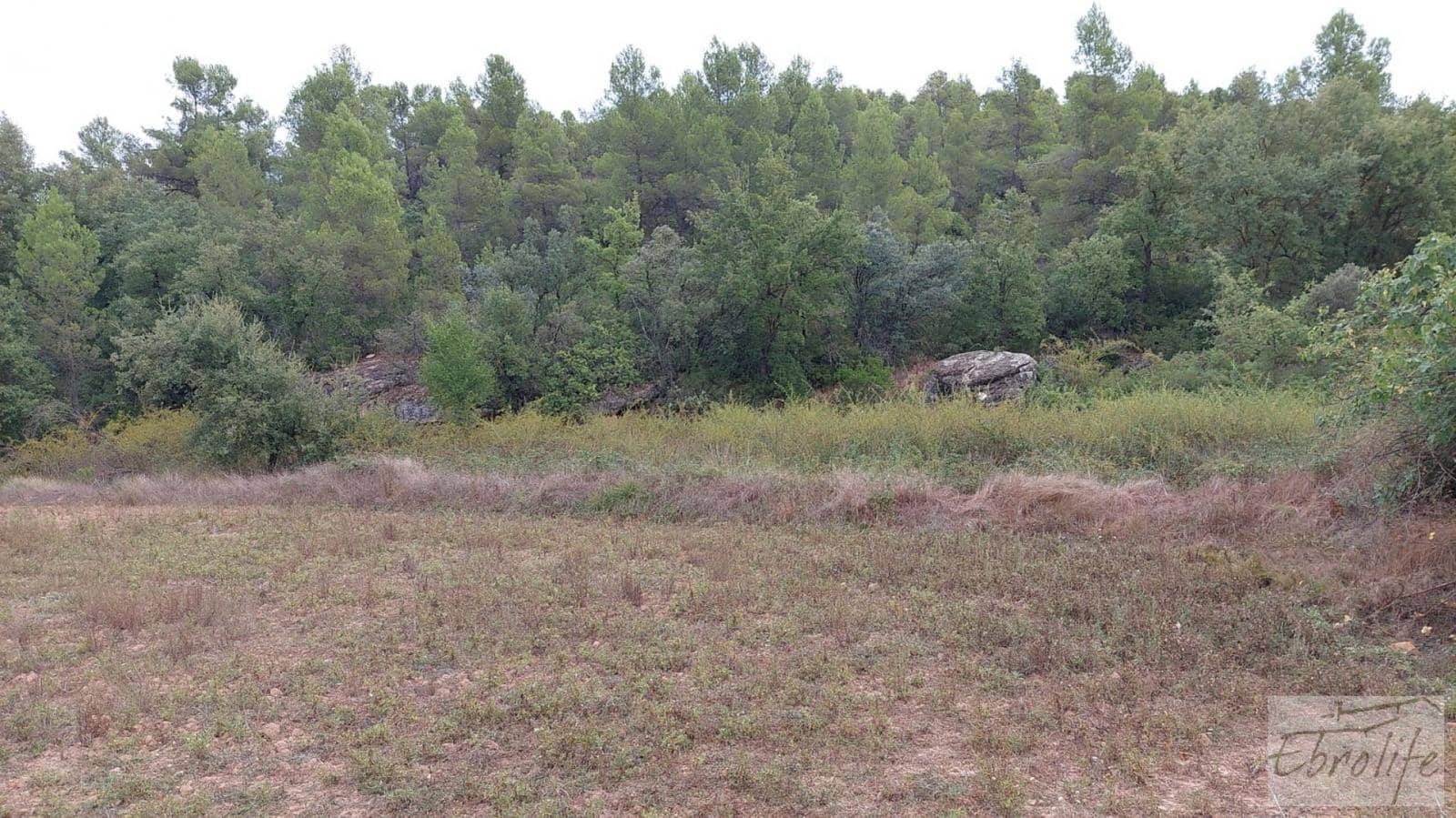 1 soveværelse Finca/Landehus til salg i Calaceite - € 42.000 (Ref: 7089394)