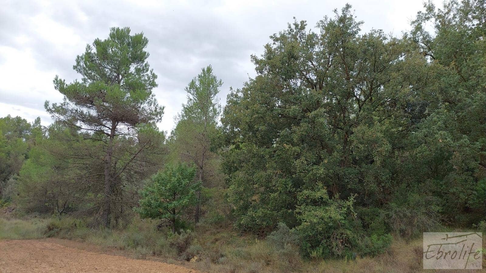 1 soveværelse Finca/Landehus til salg i Calaceite - € 42.000 (Ref: 7089394)