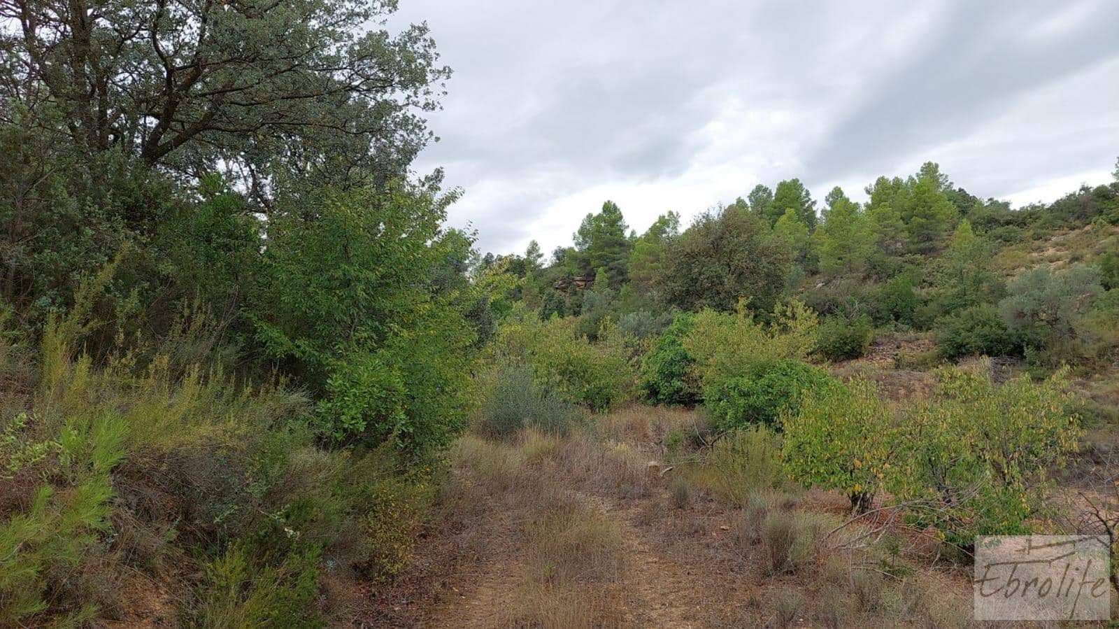 1 soveværelse Finca/Landehus til salg i Calaceite - € 42.000 (Ref: 7089394)