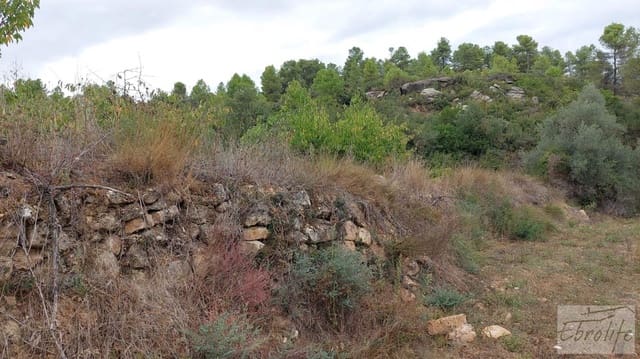 1 sovrum Finca/Hus på landet till salu i Calaceite - 42 000 € (Ref: 7089394)