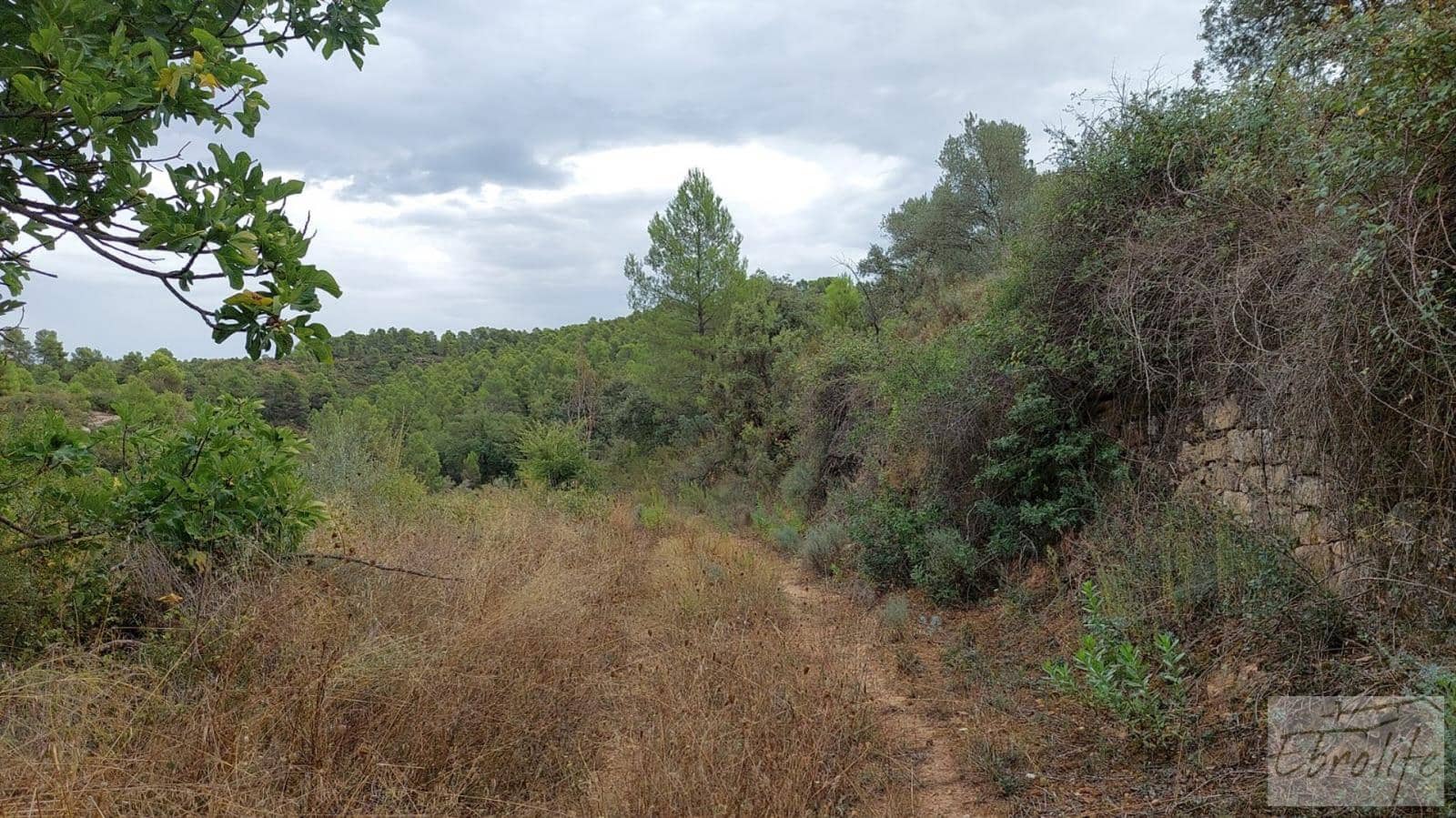 1 soveværelse Finca/Landehus til salg i Calaceite - € 42.000 (Ref: 7089394)