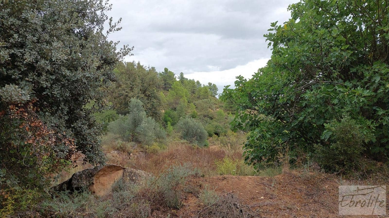 1 soveværelse Finca/Landehus til salg i Calaceite - € 42.000 (Ref: 7089394)