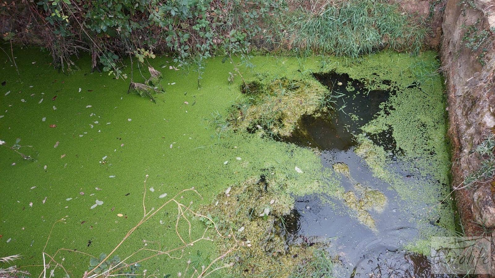 1 soveværelse Finca/Landehus til salg i Calaceite - € 42.000 (Ref: 7089394)