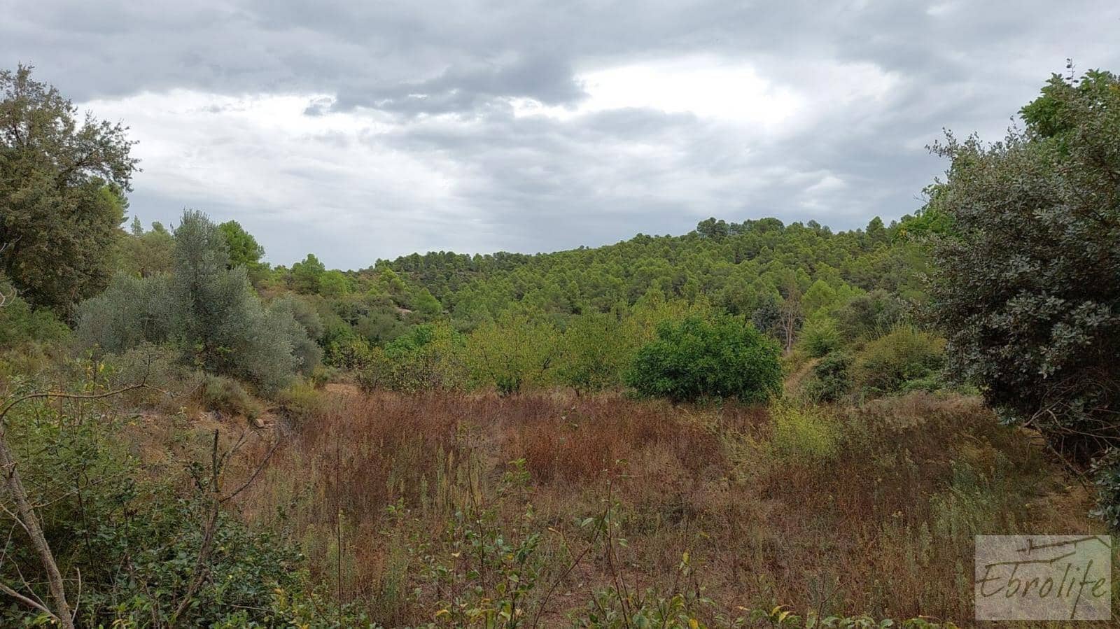 1 soveværelse Finca/Landehus til salg i Calaceite - € 42.000 (Ref: 7089394)