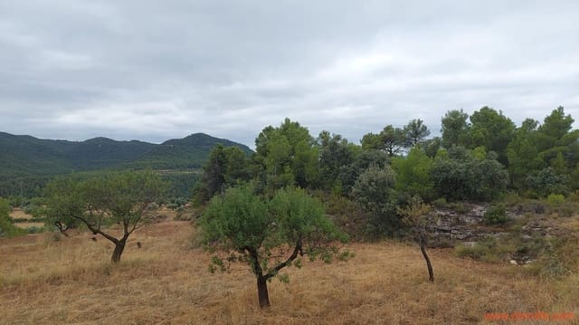 2 camera da letto Finca/Casa di Campagna in vendita in Ráfales - 160.000 € (Rif: 7106965)