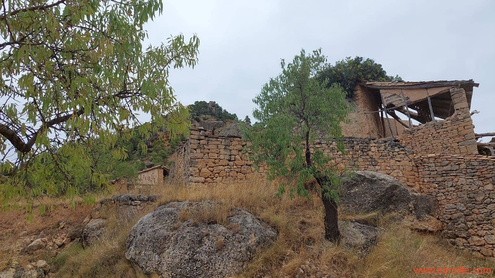 2 slaapkamer Finca/Landhuis te koop in Rafales - € 160.000 (Ref: 7106965)