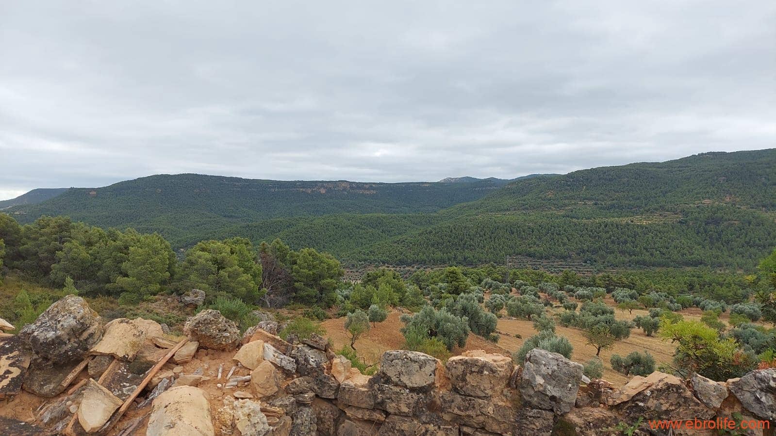 2 slaapkamer Finca/Landhuis te koop in Rafales - € 160.000 (Ref: 7106965)