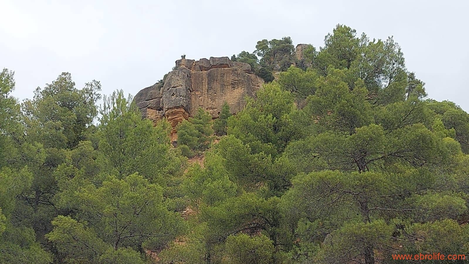 2 slaapkamer Finca/Landhuis te koop in Rafales - € 160.000 (Ref: 7106965)