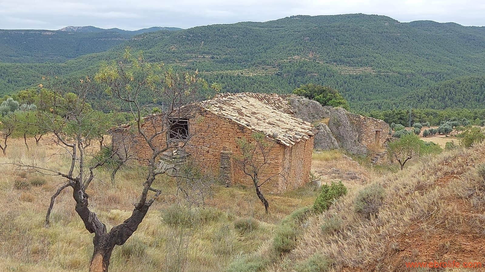 2 slaapkamer Finca/Landhuis te koop in Rafales - € 160.000 (Ref: 7106965)