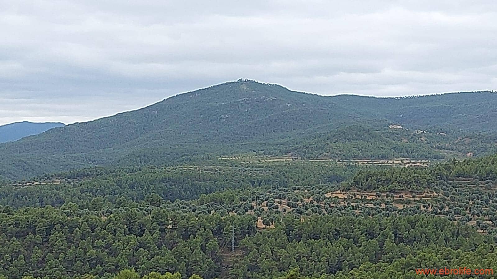 2 slaapkamer Finca/Landhuis te koop in Rafales - € 160.000 (Ref: 7106965)