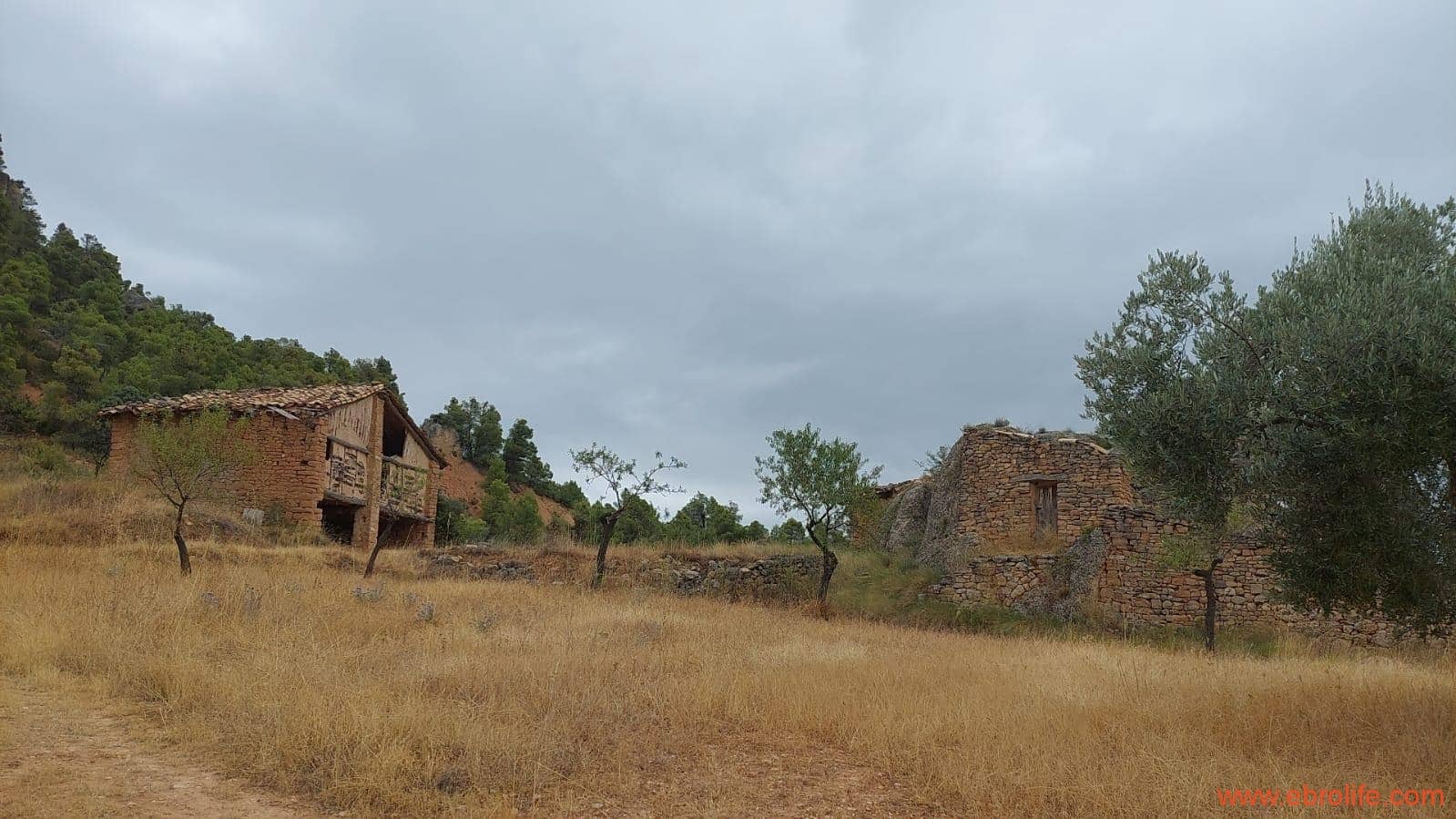 2 slaapkamer Finca/Landhuis te koop in Rafales - € 160.000 (Ref: 7106965)