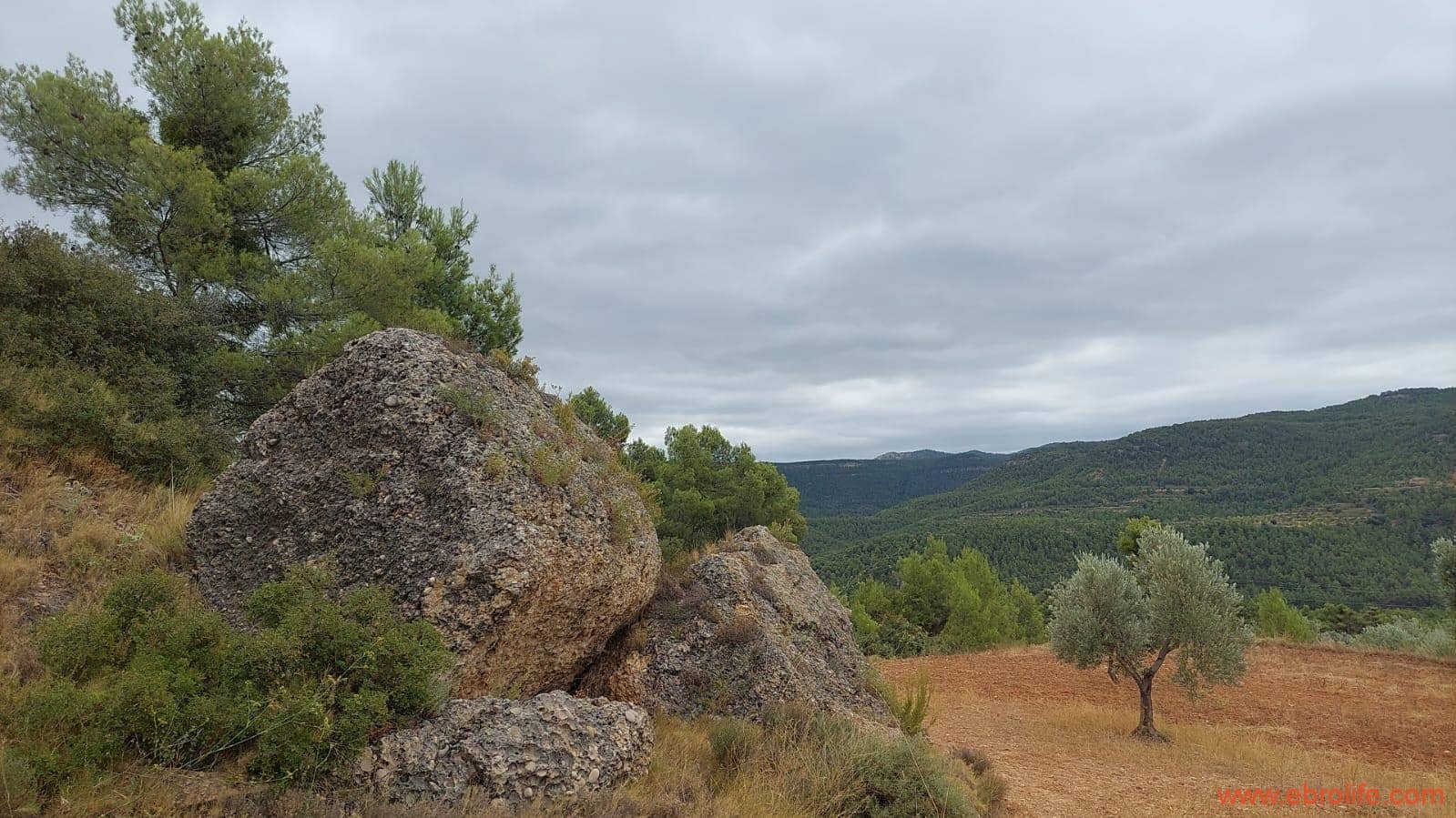 2 slaapkamer Finca/Landhuis te koop in Rafales - € 160.000 (Ref: 7106965)