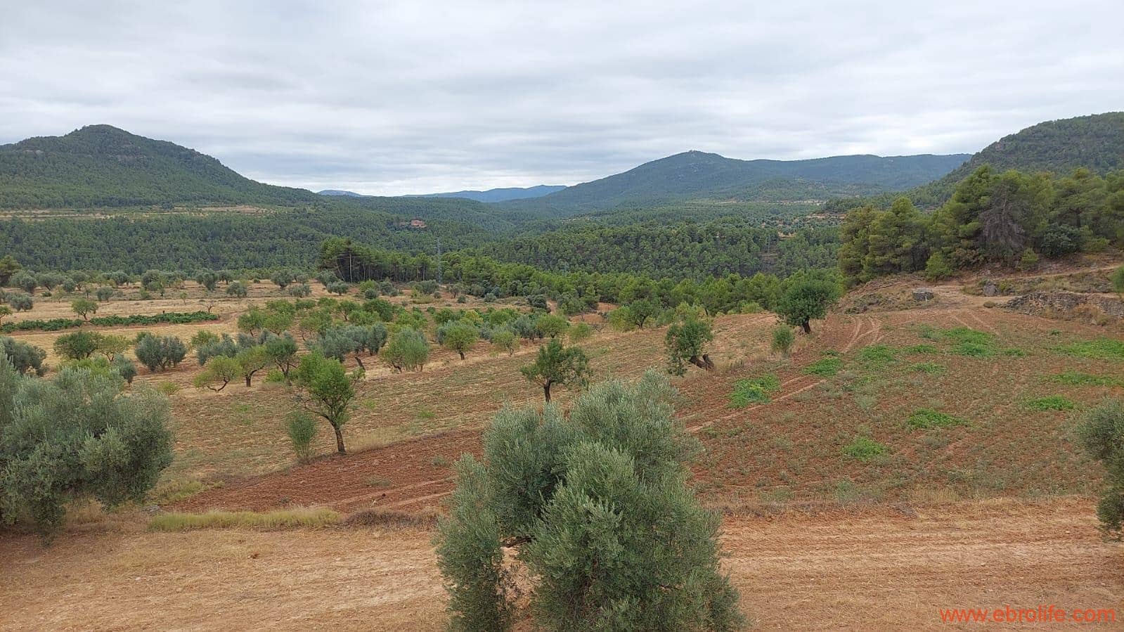 2 slaapkamer Finca/Landhuis te koop in Rafales - € 160.000 (Ref: 7106965)