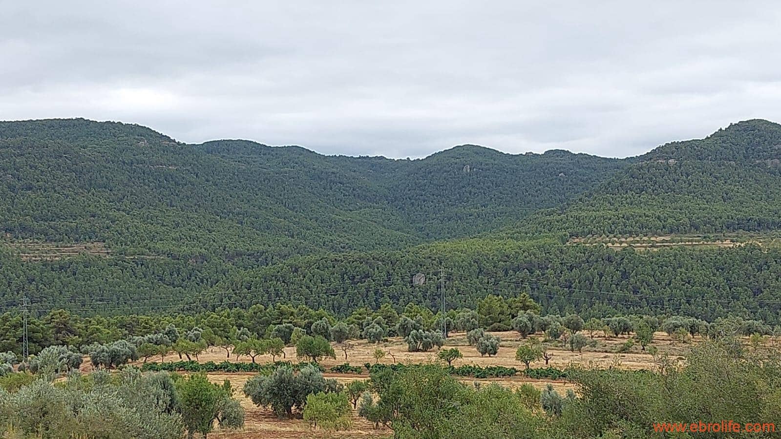 2 slaapkamer Finca/Landhuis te koop in Rafales - € 160.000 (Ref: 7106965)