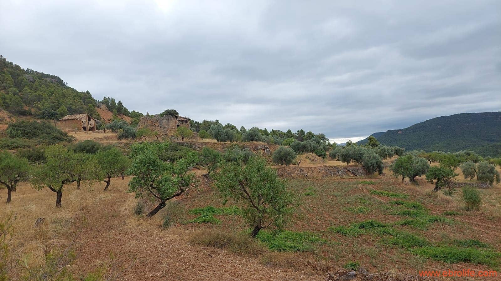 2 slaapkamer Finca/Landhuis te koop in Rafales - € 160.000 (Ref: 7106965)