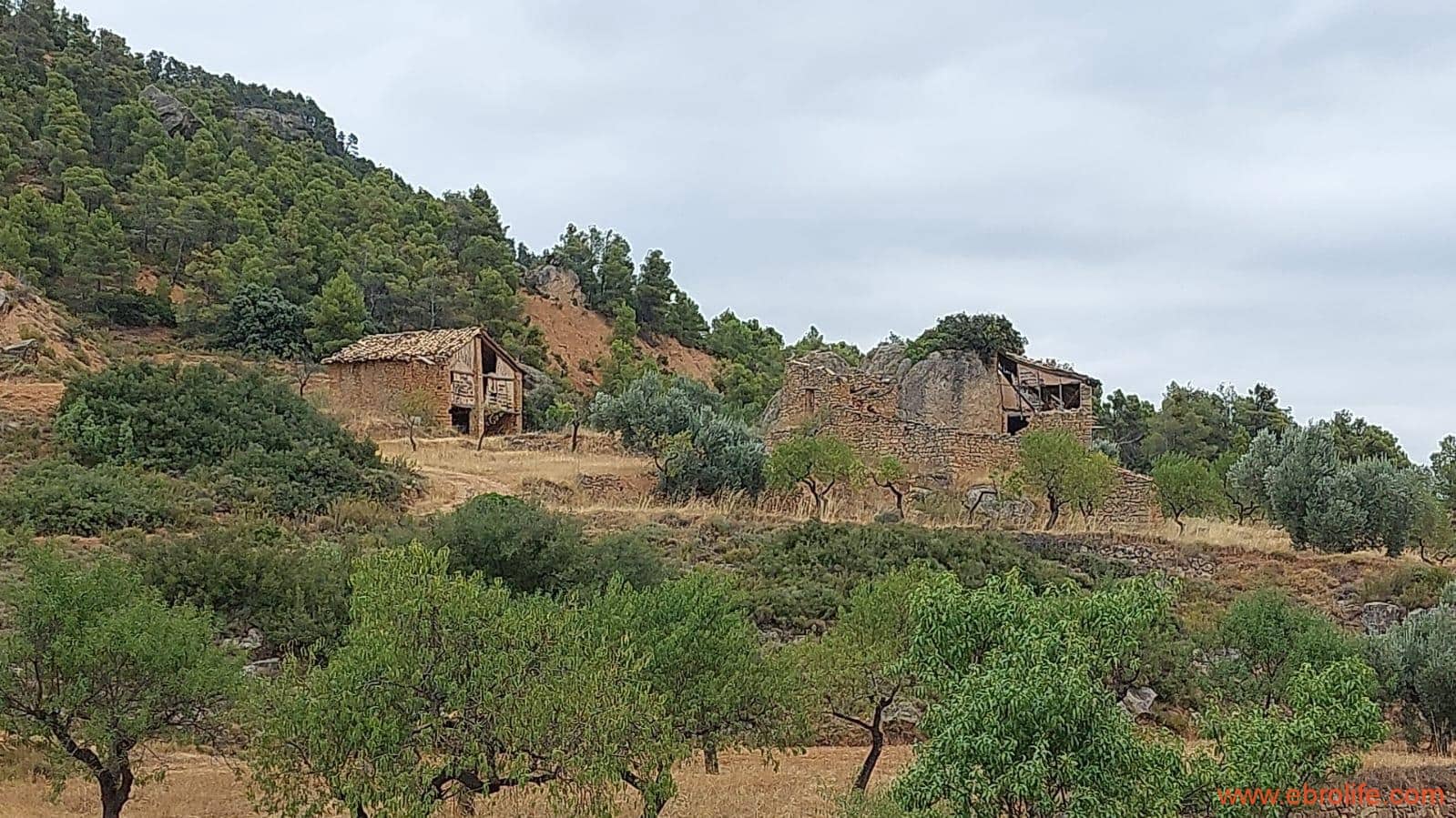 2 slaapkamer Finca/Landhuis te koop in Rafales - € 160.000 (Ref: 7106965)