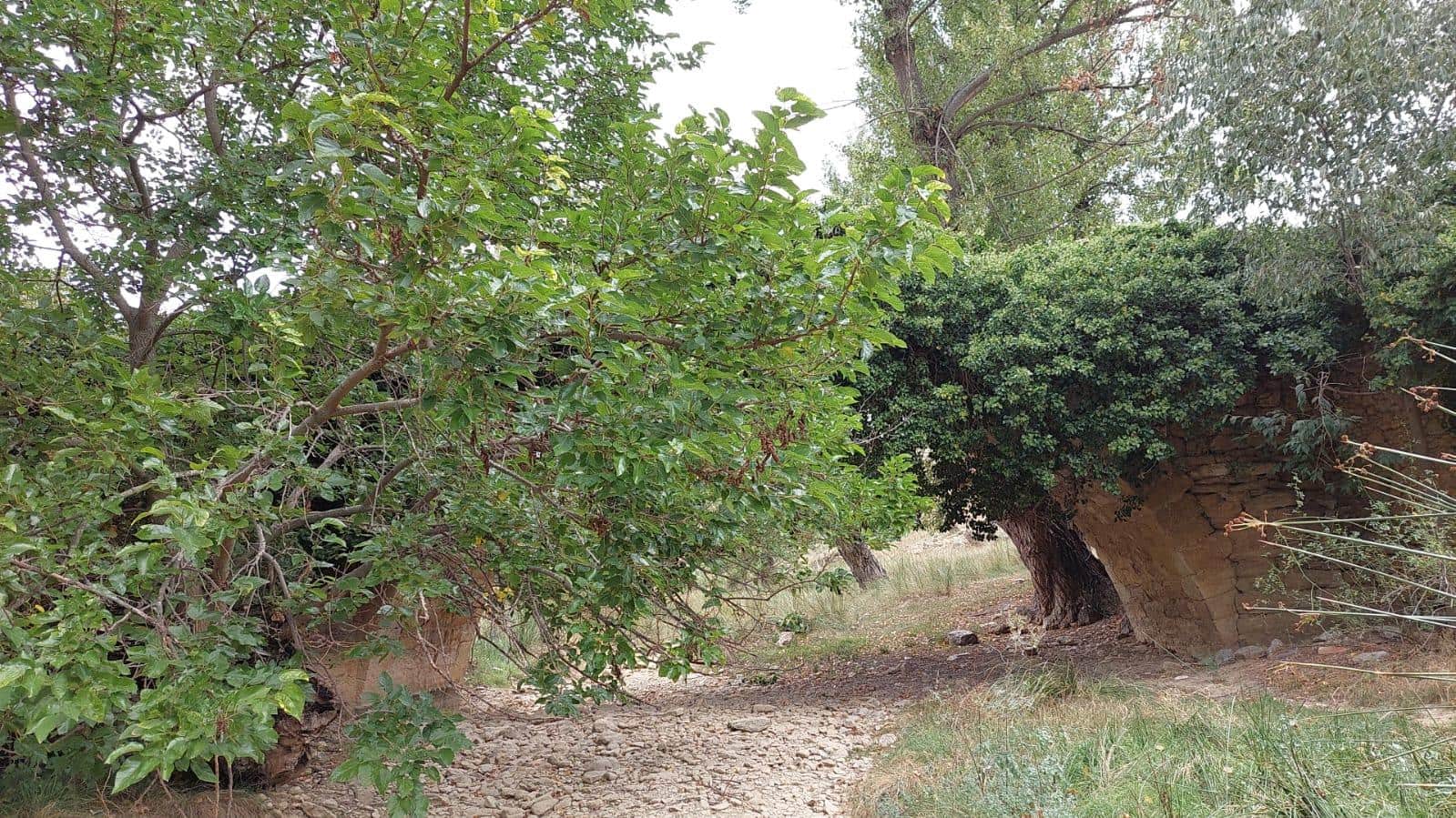 3 slaapkamer Finca/Landhuis te koop in Mirambel - € 275.000 (Ref: 7118844)