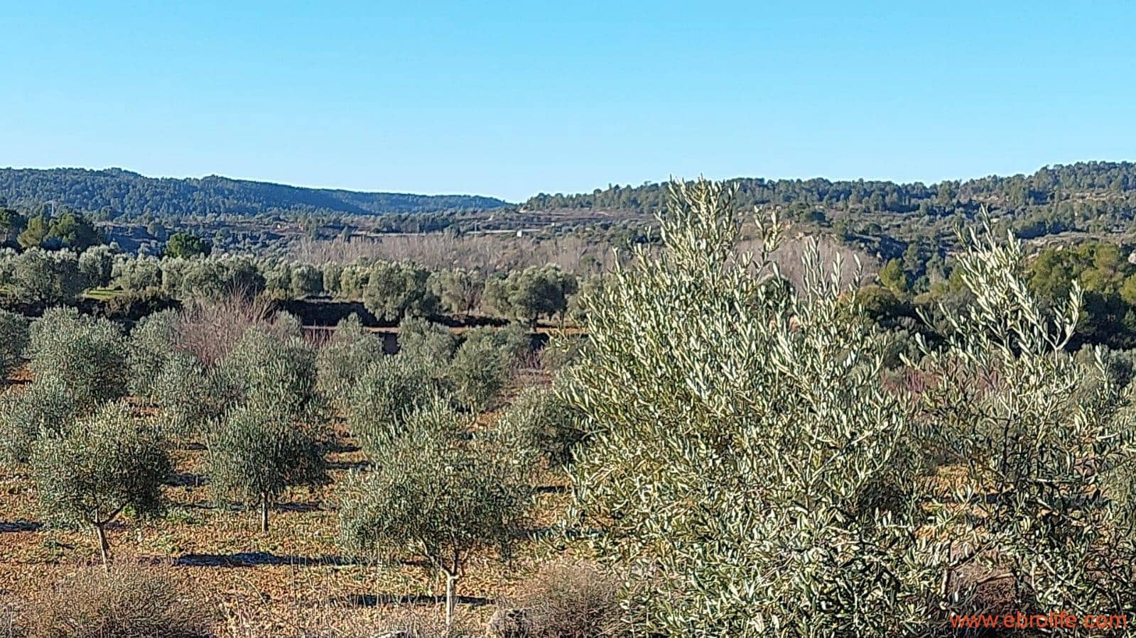 1 chambre Finca/Maison de Campagne à vendre à Mazaleon - 58 000 € (Ref: 7406466)