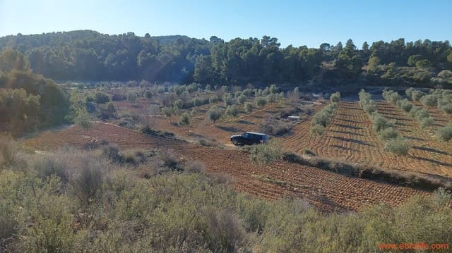 1 quarto Quinta/Casa Rural para venda em Mazaleón - 58 000 € (Ref: 7406466)