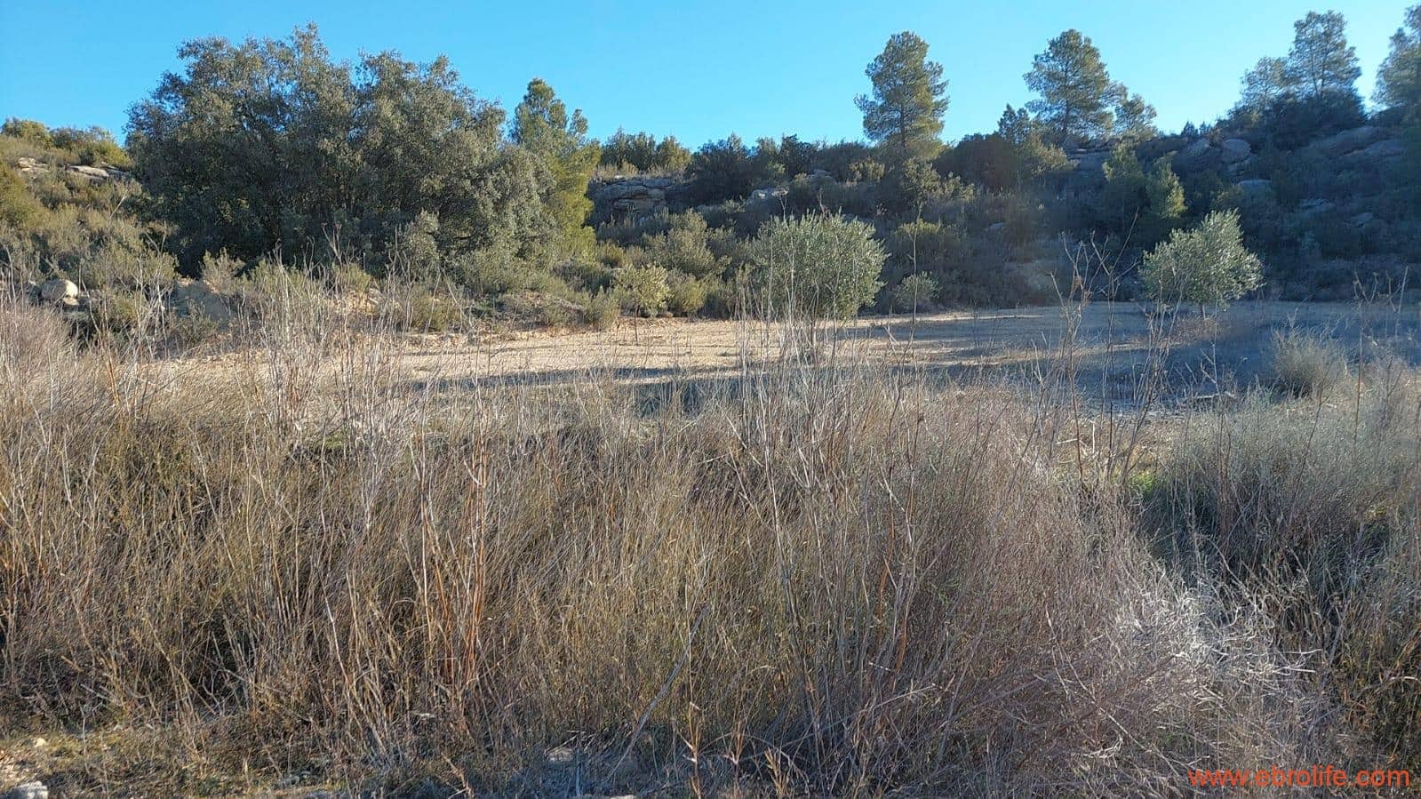 1 chambre Finca/Maison de Campagne à vendre à Mazaleon - 58 000 € (Ref: 7406466)