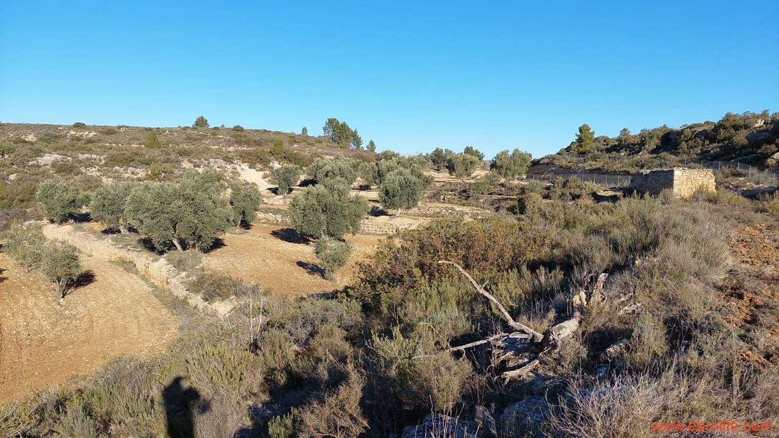 1 chambre Finca/Maison de Campagne à vendre à Mazaleon - 58 000 € (Ref: 7406466)