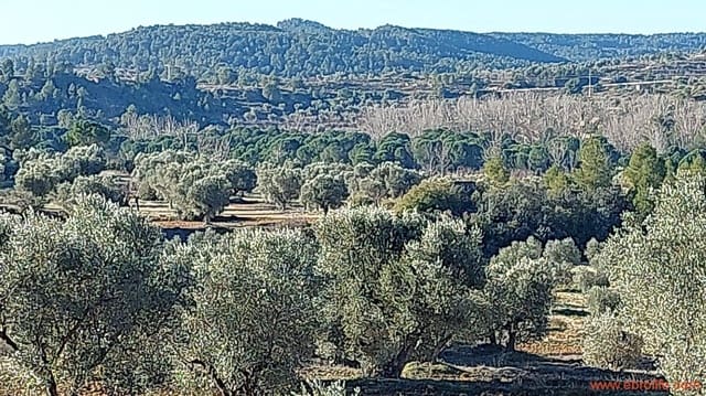 1 quarto Quinta/Casa Rural para venda em Mazaleón - 58 000 € (Ref: 7406466)