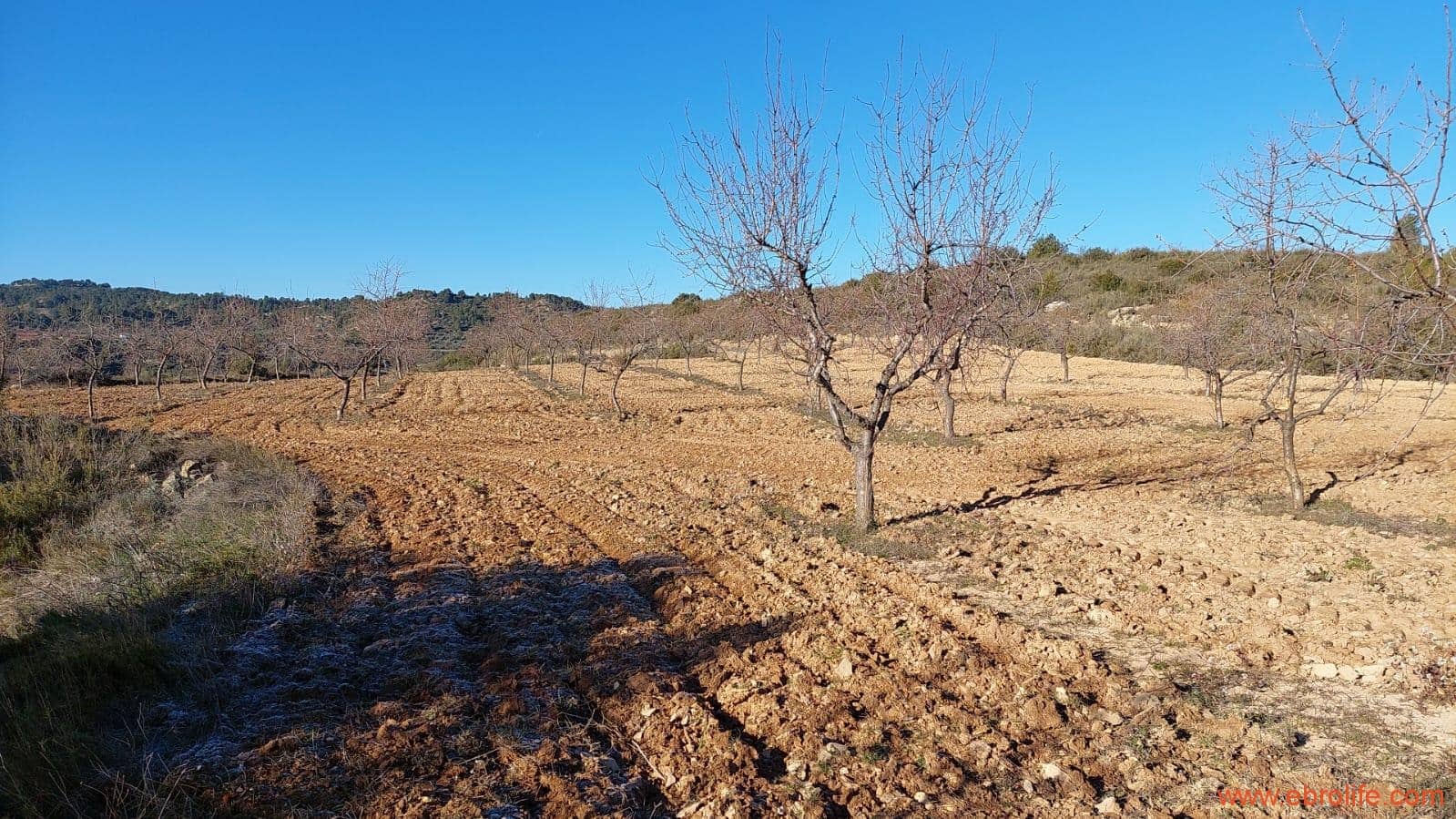 1 chambre Finca/Maison de Campagne à vendre à Mazaleon - 58 000 € (Ref: 7406466)