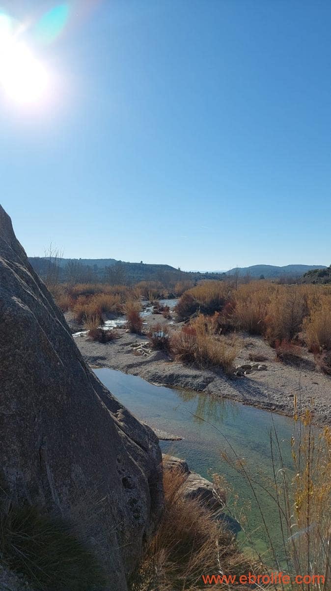 1 chambre Finca/Maison de Campagne à vendre à Mazaleon - 58 000 € (Ref: 7406466)