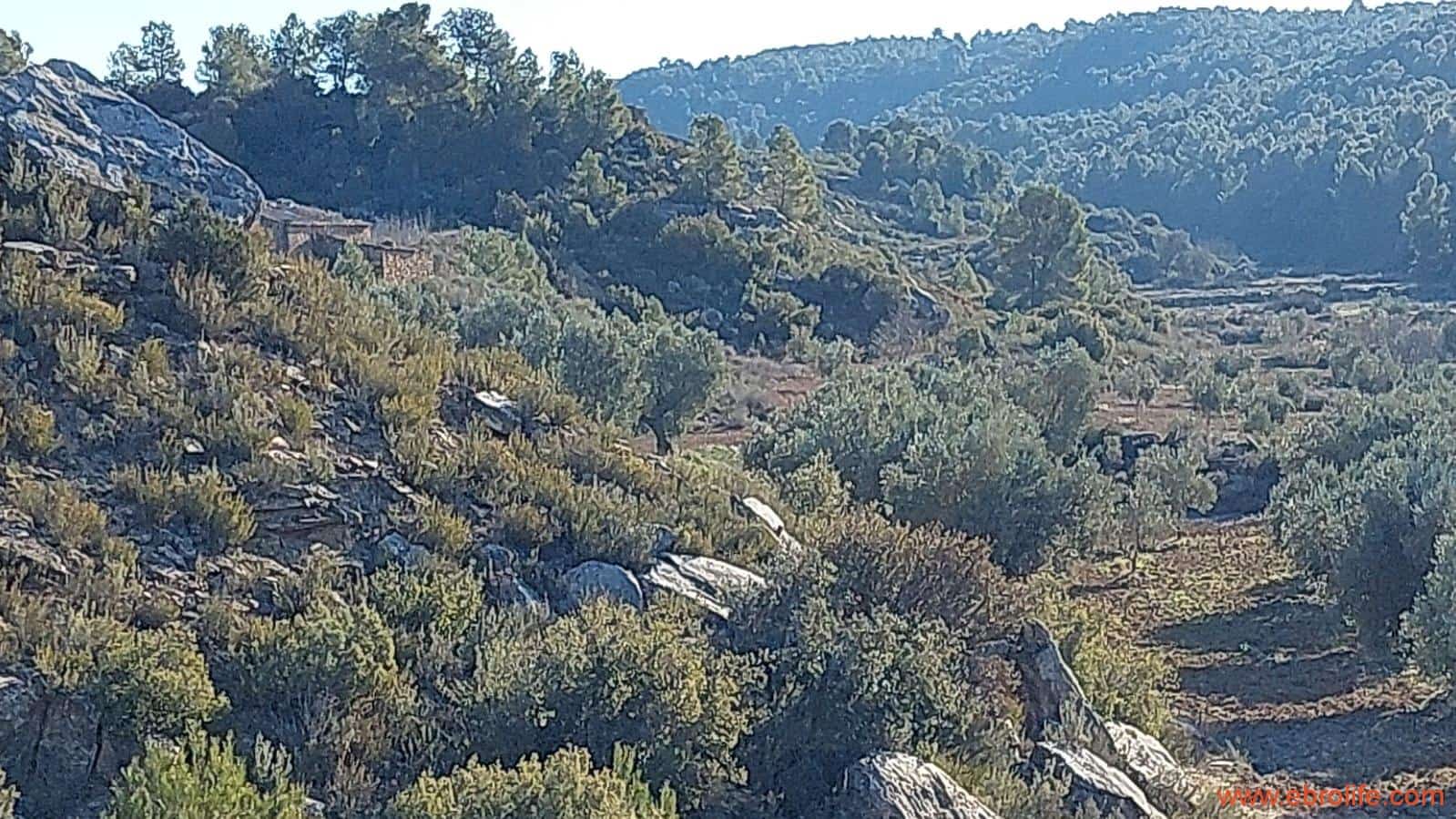 1 chambre Finca/Maison de Campagne à vendre à Mazaleon - 58 000 € (Ref: 7406466)