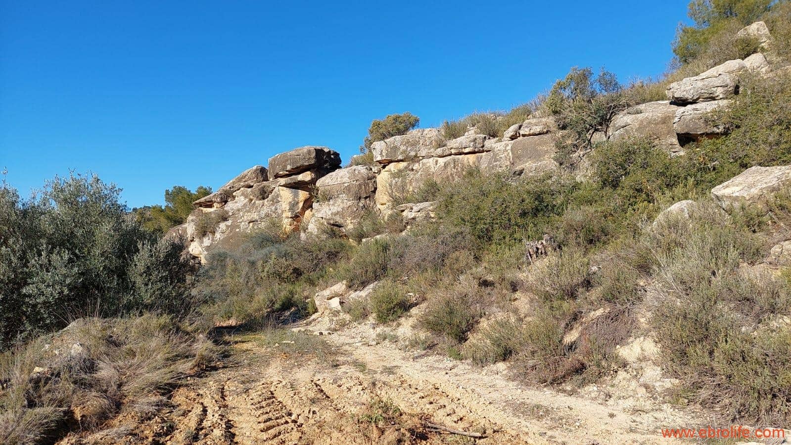 1 chambre Finca/Maison de Campagne à vendre à Mazaleon - 58 000 € (Ref: 7406466)